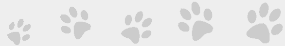 image_pawprint