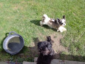 IMG_20240911_114834
