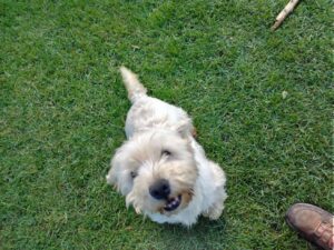 IMG_20240911_120006