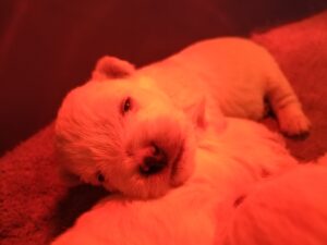 IMG_20240924_085236